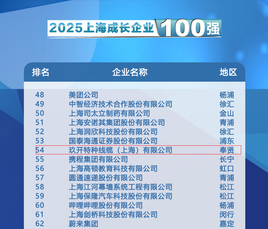 聚焦2025上海百强发布会：红桃国际特种线缆登榜成长企业100强